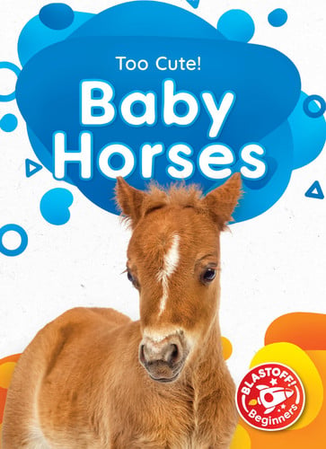 Baby Horses