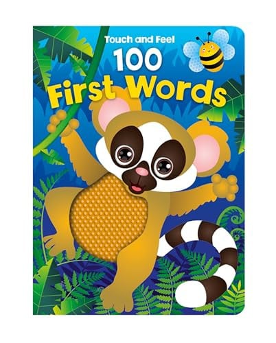 Touch and Feel 100 First Words