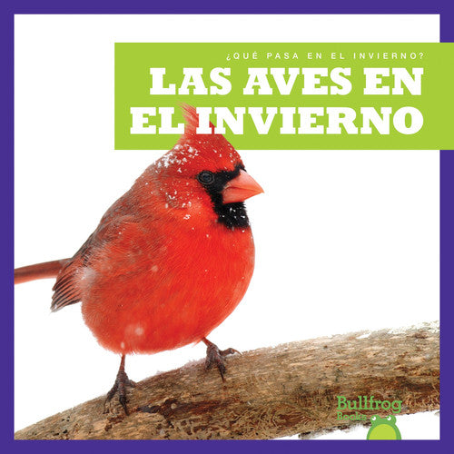 Las Aves en el Invierno