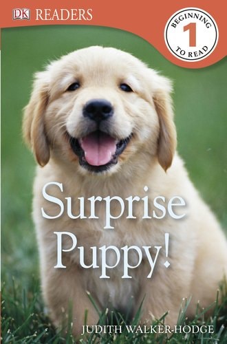 Surprise Puppy! (DK Readers Level 1)
