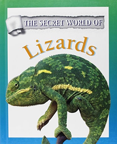 Lizards
