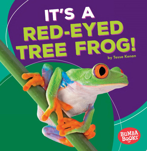It's a Red-Eyed Tree Frog!