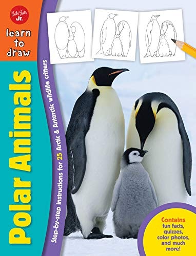 Learn to Draw Polar Animals