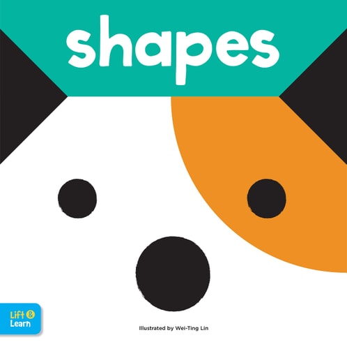 Shapes Lift and Learn