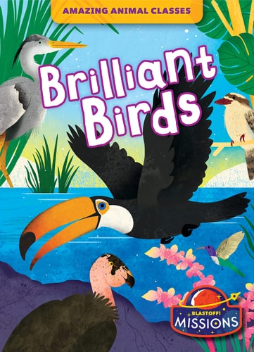 Brilliant Birds