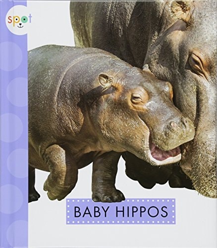 Baby Hippos