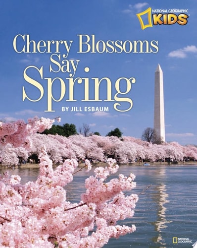 Cherry Blossoms Say Spring