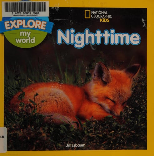 Explore My World Nighttime