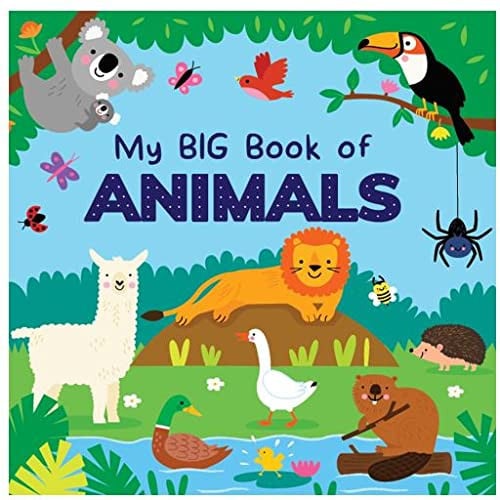 My Big Book of Animals