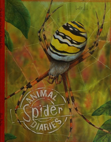 Animal Spider Diaries