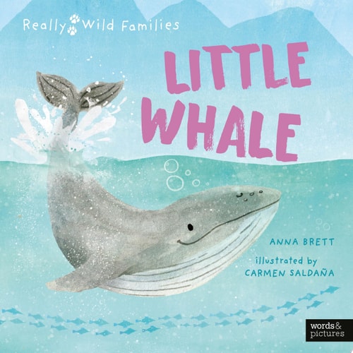 Little Whale