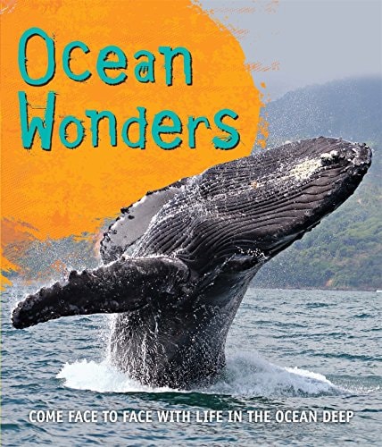 Ocean Wonders